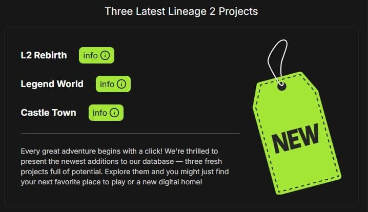 Newest projects section